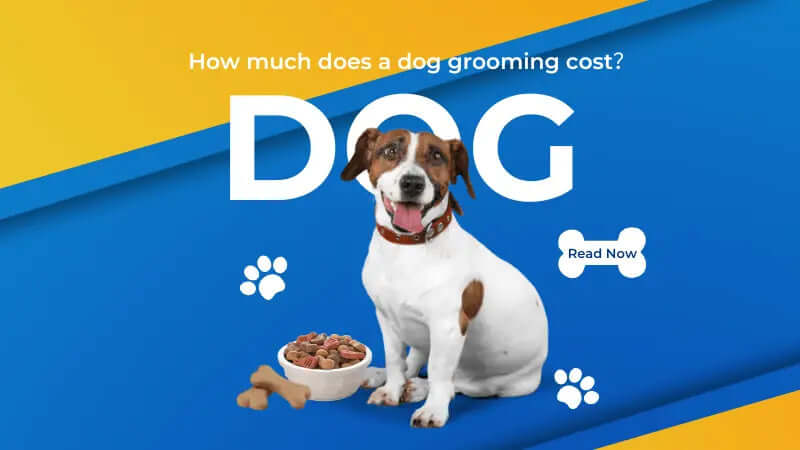 how much does a dog grooming cost-inselife.com