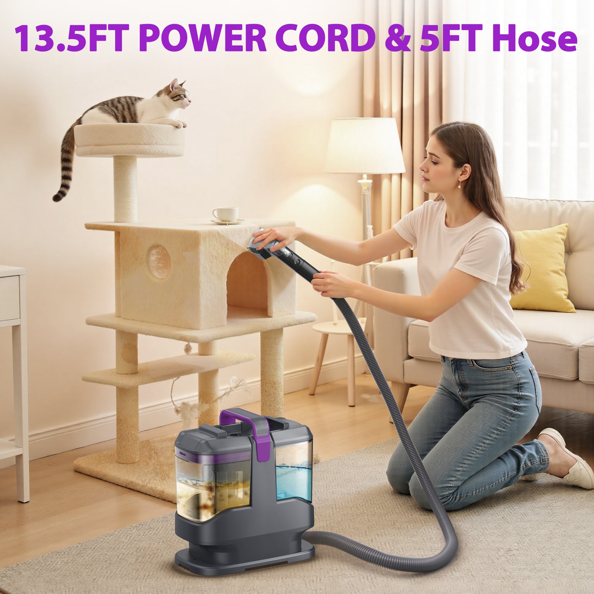 INSE Portable Carpet and Upholstery Vacuum Cleaner, Includes 8.5oz Stain Lifter, C9