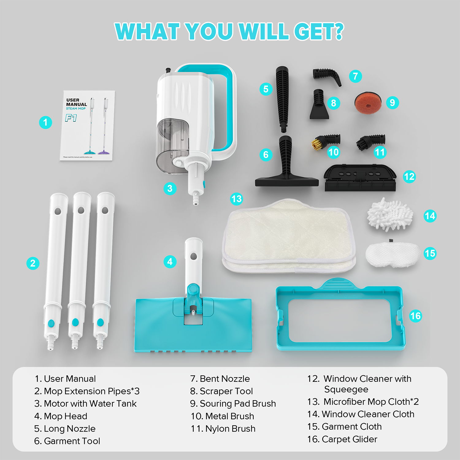 INSE Steam Mop,All-in-One Scrubbing and Sanitizing Detachable Floor Steamer,11 Accessories for Upholstery,Carpet & Furniture,F1