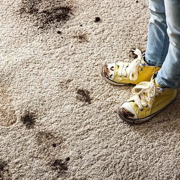 debris_on_carpets-2