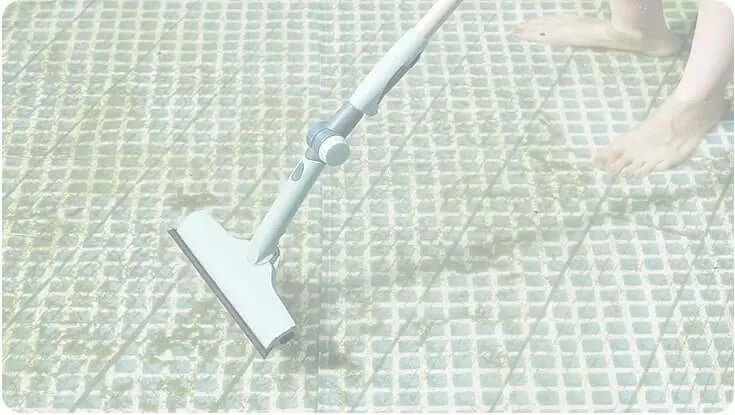 dirty pool Algae Growth-4-inselife.com