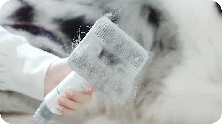 inse p20 pro dog grooming kit one press to clean-inselife.com