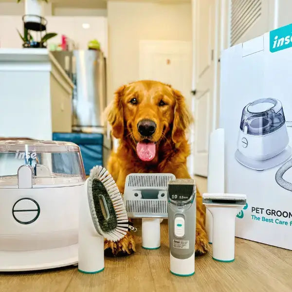 inse p20 pro pet grooming kit golden retriever-inselife.com