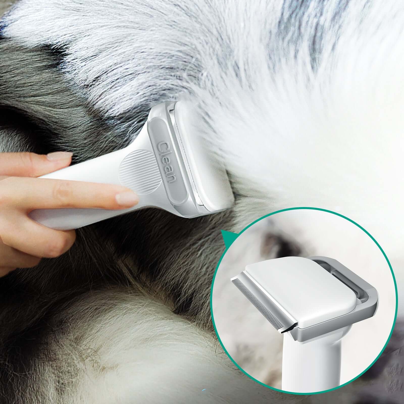 INSE P20 Pro Dog Grooming Kit with deshedding brush-inselife.com