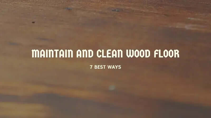 7 Best ways to Maintain and Clean Wood Floor banner-inselife.com