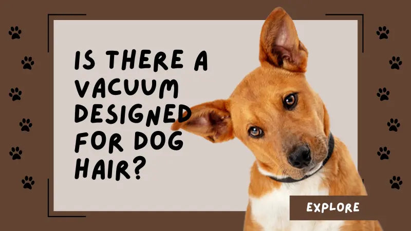 Is there a vacuum designed for dog hair