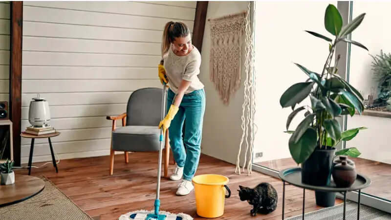 5 Cleaning Hacks to Speed up Your Cleaning Routines in 2023