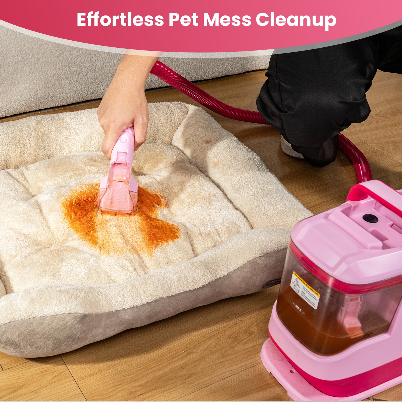 Upholstery Carpet Vacuum Cleaner, 18KPa Suction Spot Cleaning Machine for Pet Stains, Carpets, Sofa, Car Seats, Mattress, with 3 Multipurpose Cleaning Tools, 6&