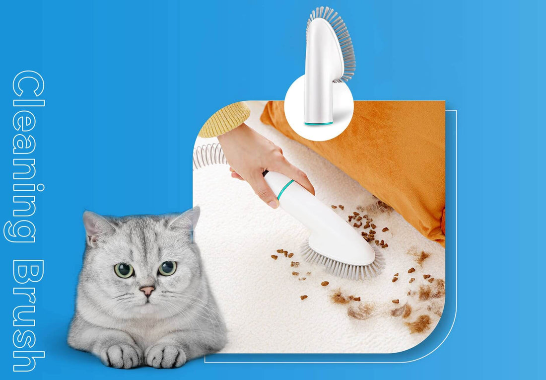 INSE P20 Pro Dog Grooming Kit Allinone Dog Grooming Vacuum