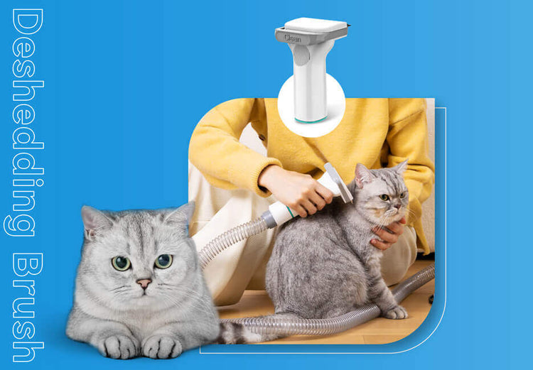 INSE P20 Pro Dog Grooming Kit Allinone Dog Grooming Vacuum