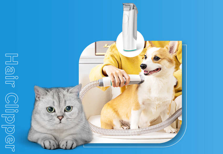 INSE P20 Pro Dog Grooming Kit Allinone Dog Grooming Vacuum