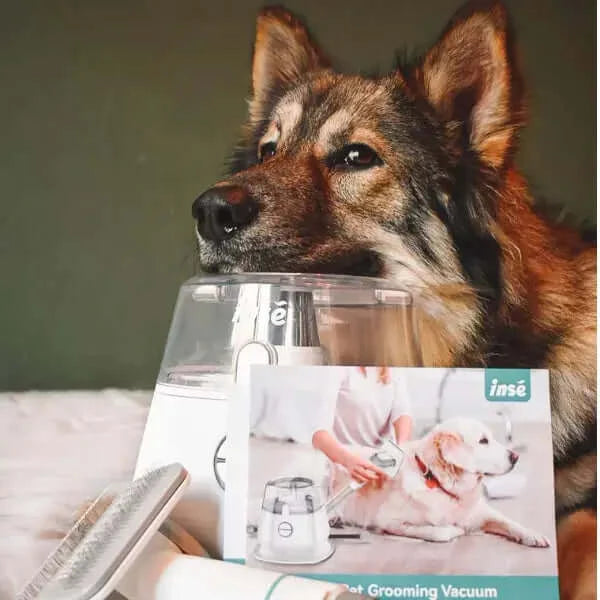 inse p20 pro pet grooming vacuum with dog-inselife.com