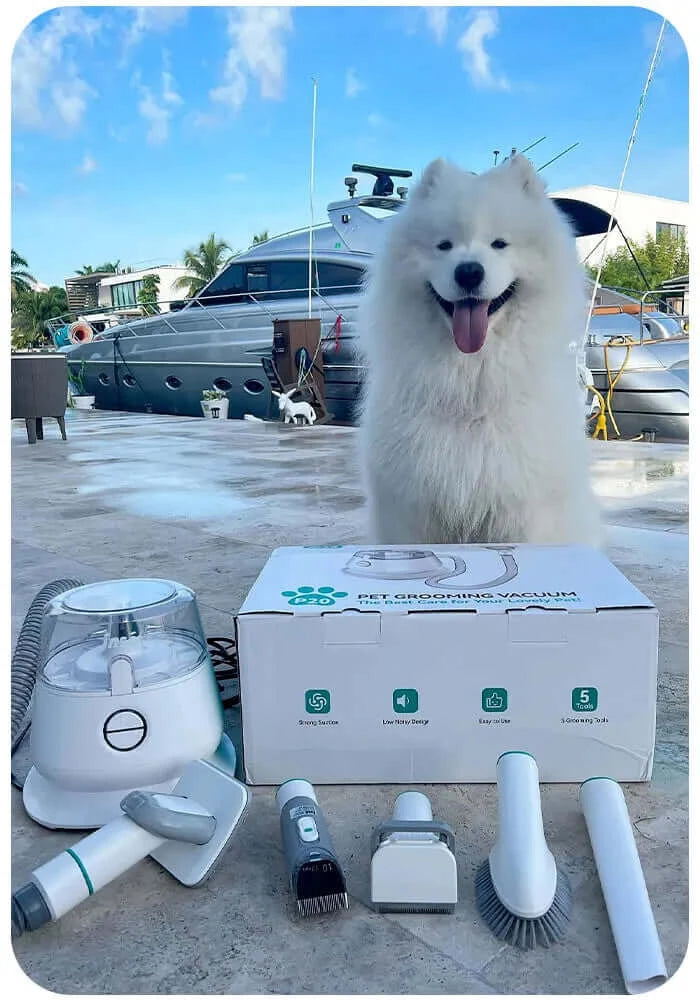 inse p20 pro dog grooming vacuum for dog- smiling dog-inselife.com