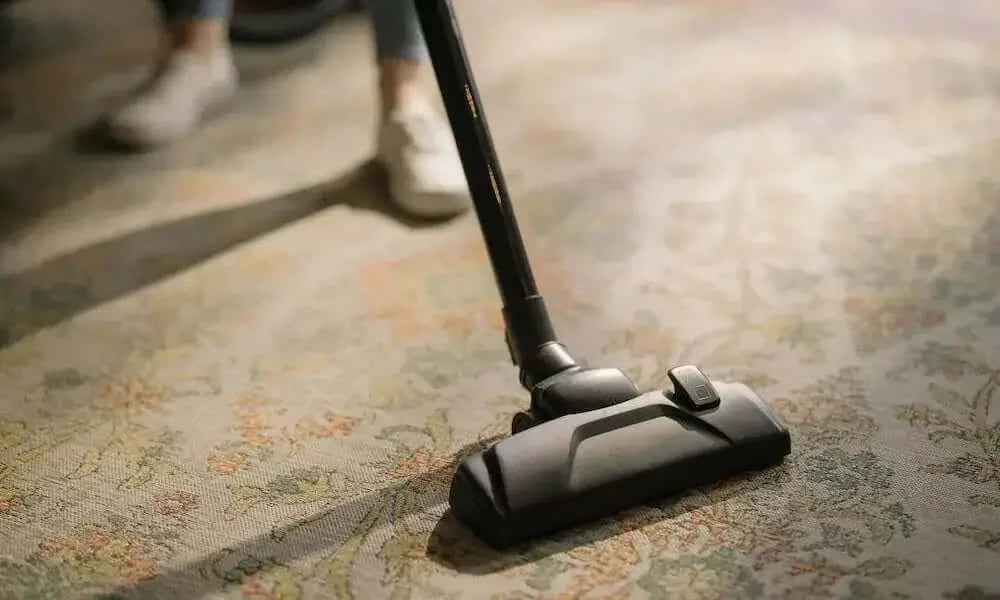 inse vacuums for carpets first picture clean the carpets with a vacuum-inselife.com
