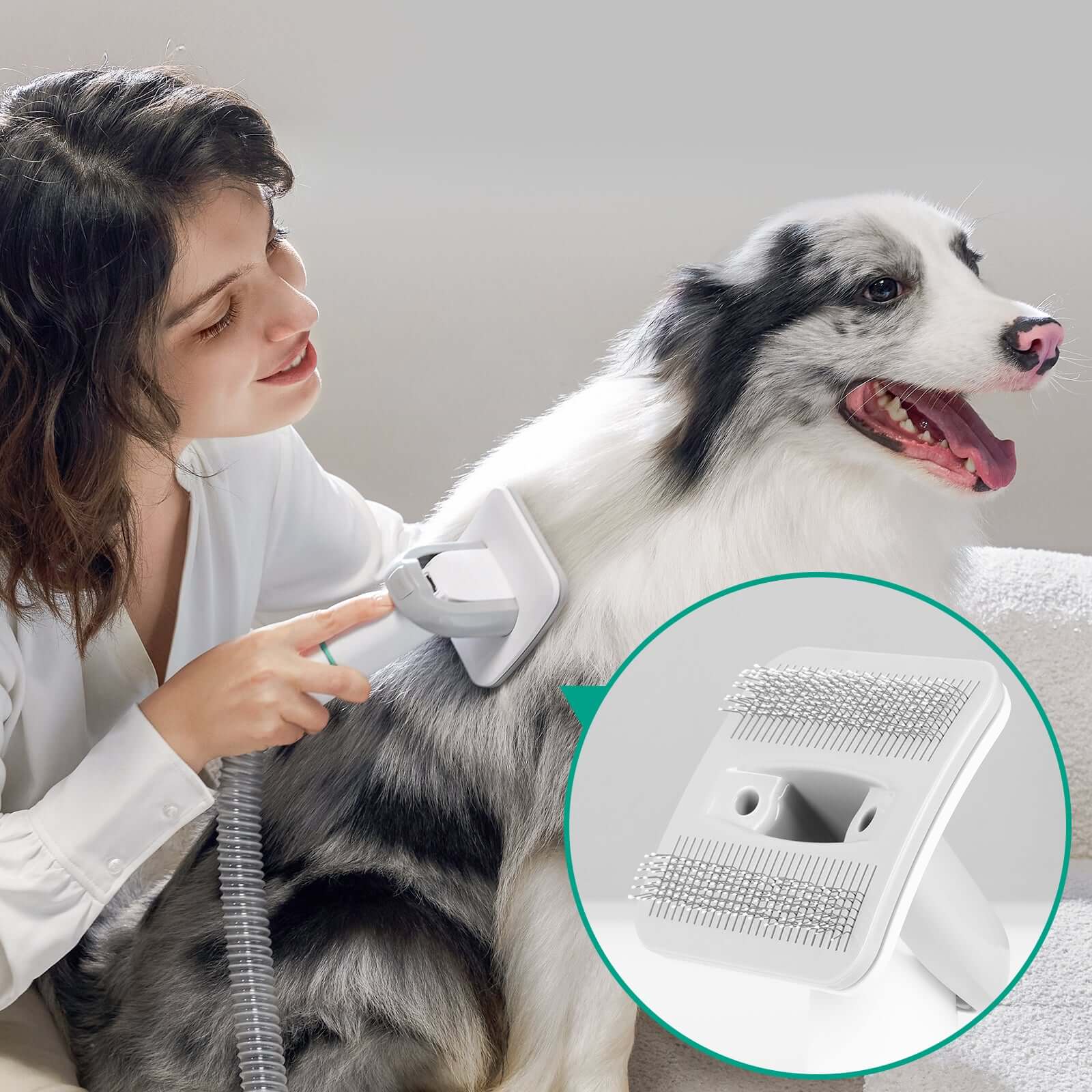 INSE P20 Pro Dog Grooming Kit with grooming brush-inselife.com