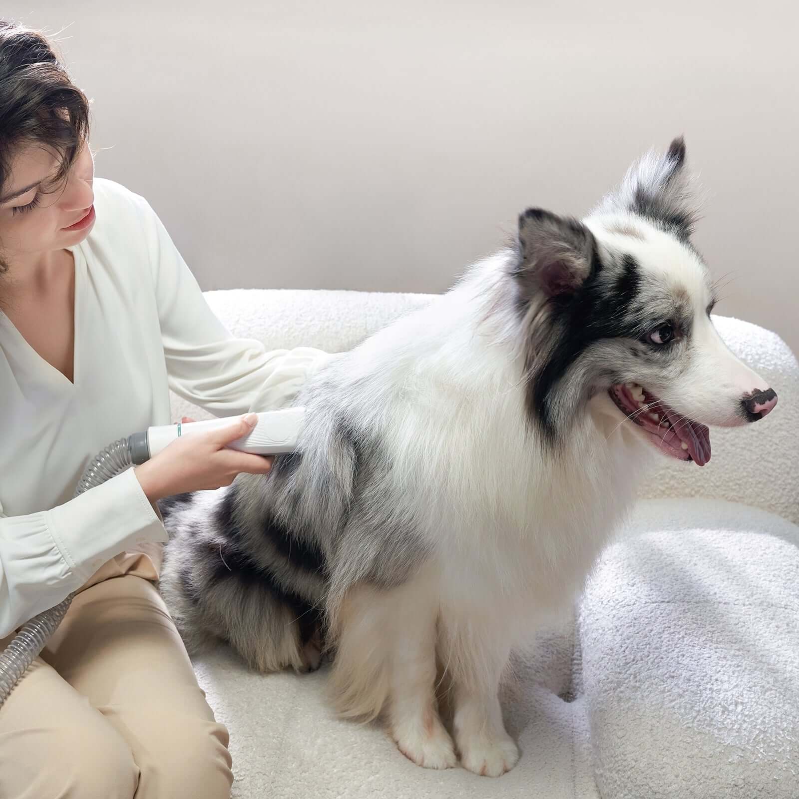 Husky grooming outlet kit